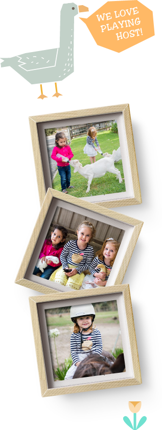 Birthday Parties - Photograph (317x842), Png Download