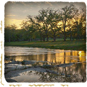 Wedding Venues Near San Antonio - Texas (350x365), Png Download