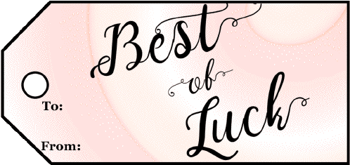 Best Of Luck Champagne Gift Tag Gift Tag - Calligraphy (501x242), Png Download