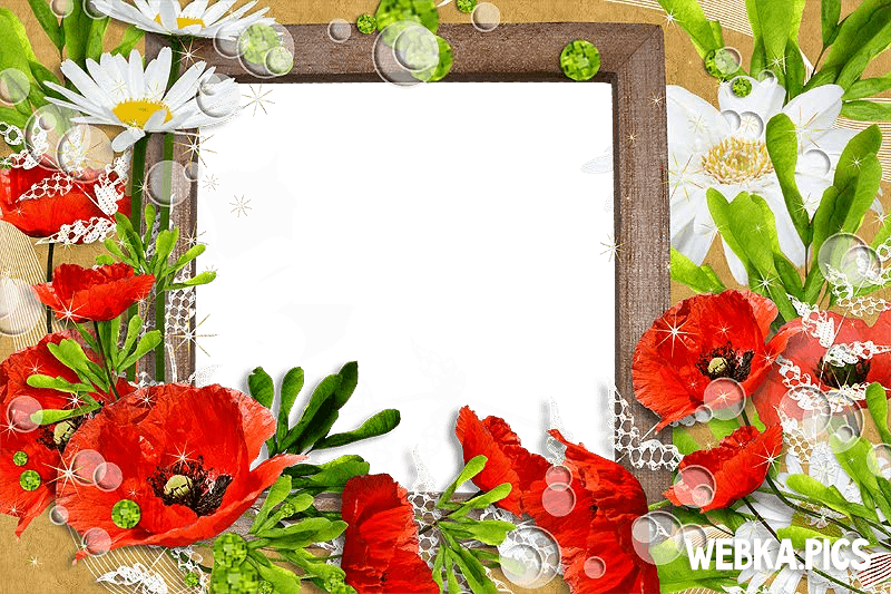 Flower Photo Frame Picture - Picture Frame (800x533), Png Download