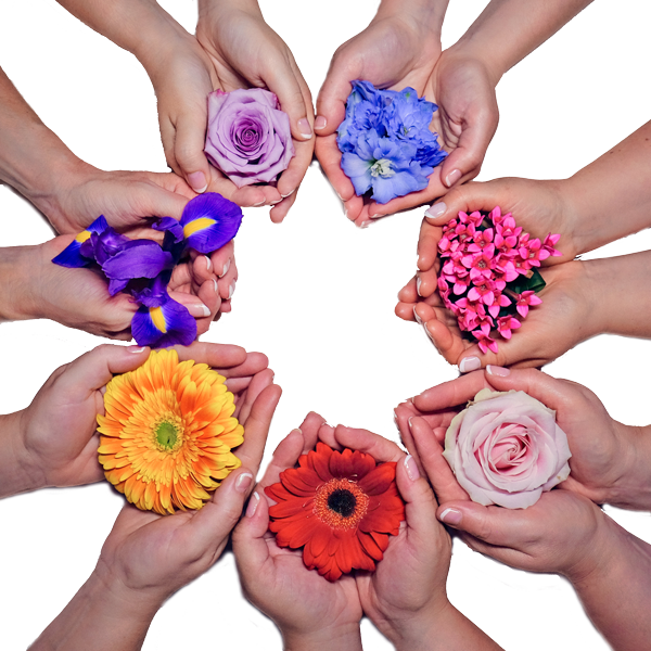 The Flowers In Our Logo Symbolise Who We Are, What - York (600x600), Png Download
