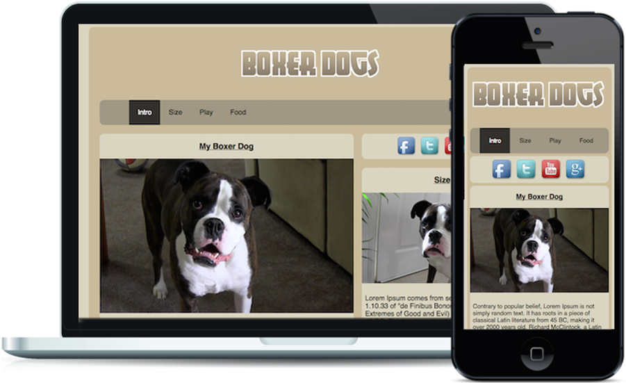 Boxer Dogs Responsive - Dog (900x900), Png Download