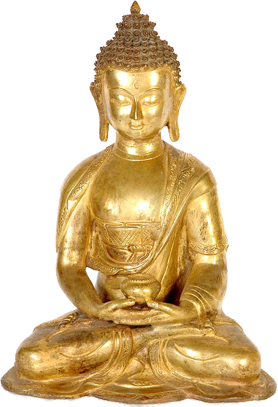 Buddha - Lord Buddha (552x800), Png Download