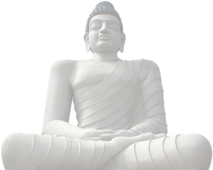 Twitter (770x602), Png Download