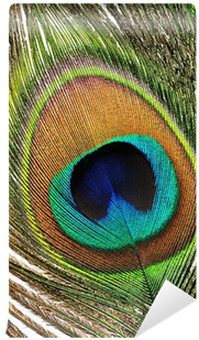 Fjer Påfugl 1 Stk (400x400), Png Download