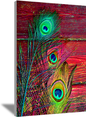 Peacock Feathers Wall Art - Modern Art (400x400), Png Download