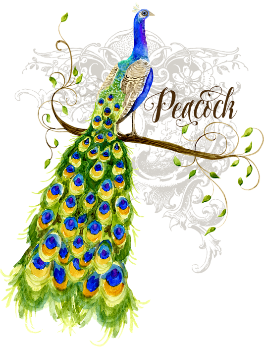Bleed Area May Not Be Visible - Peacock On Tree Painting (533x700), Png Download