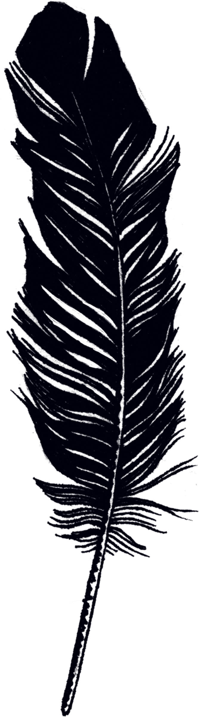 Tattly Feather Jen Mussari 00 V=1532012011 - Tattly Temporary Tattoos - Remix One - Set Of 8, Black (3000x3000), Png Download