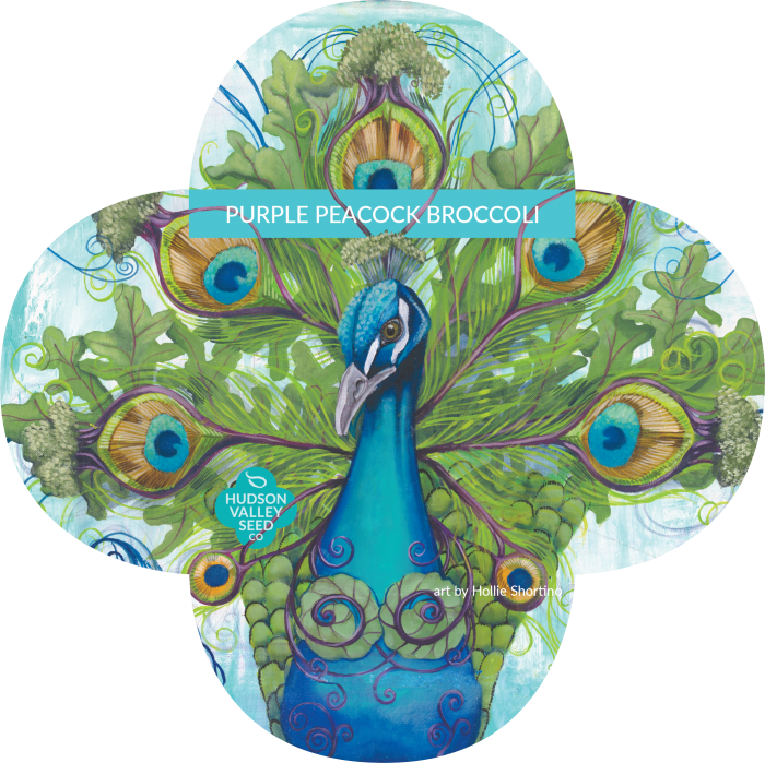 Seed (700x699), Png Download