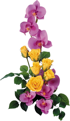 Happy International Women's Day Happy Flowers, Bright - Splash Bunga Png (289x500), Png Download