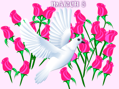 International Women's Day Geography Clipart 8 March - Postcards (package Of 8) (456x340), Png Download