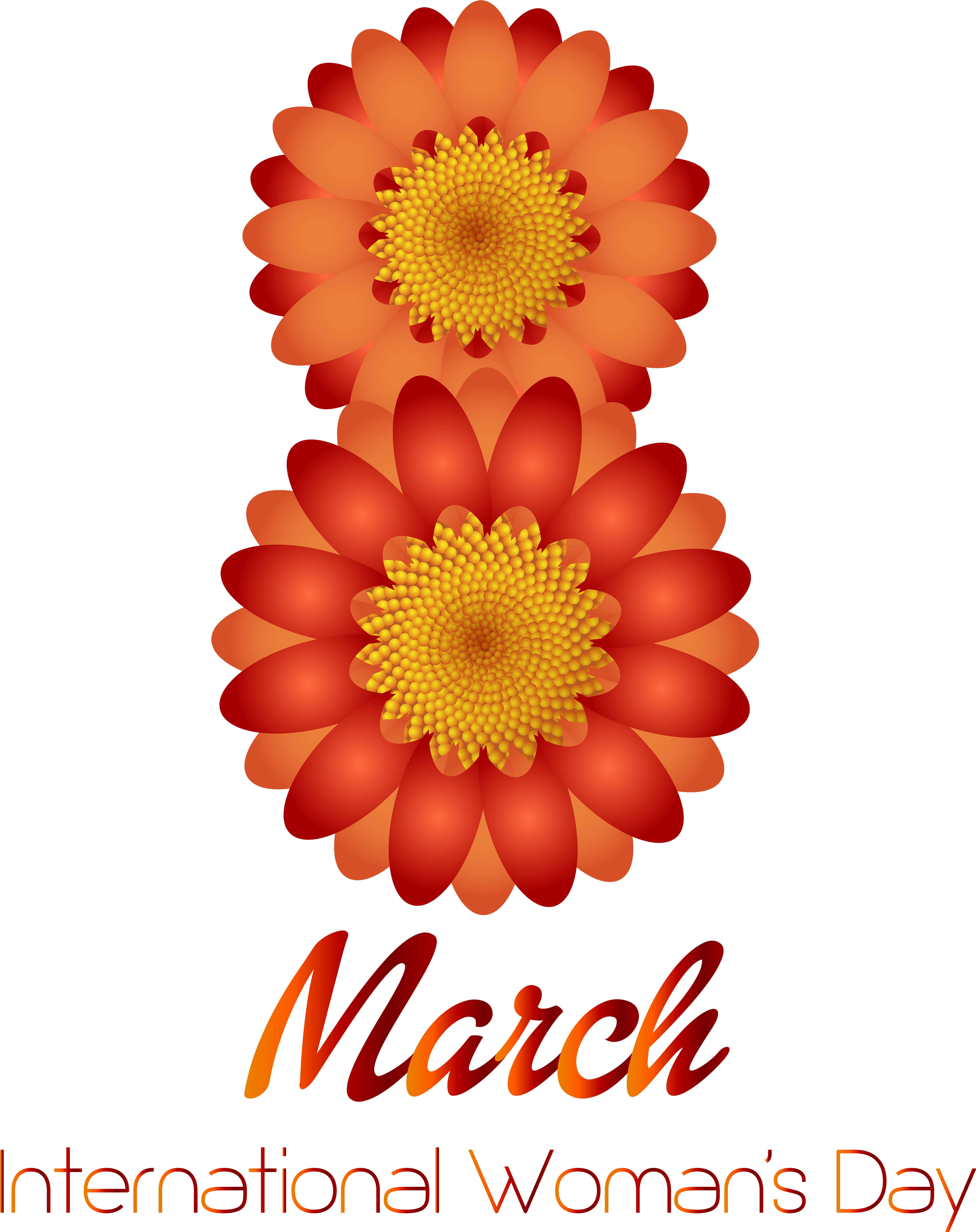 Women's Day Png (6529x8000), Png Download