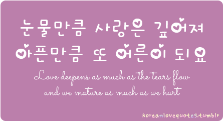 Love Korean Quotes By Dr - Quotes In Korean About Love (500x300), Png Download
