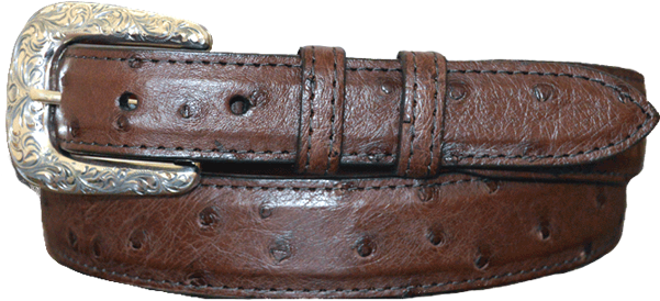 Genuine Full Quill Ostrich Belt, Tobacco - Belt (600x600), Png Download