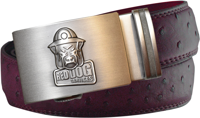 Custom Corporate Belts - Belt (720x480), Png Download