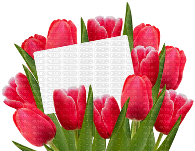 Kaz Creations 8th March Happy Women's Day Deco - Tulips Clipart Transparent (400x318), Png Download