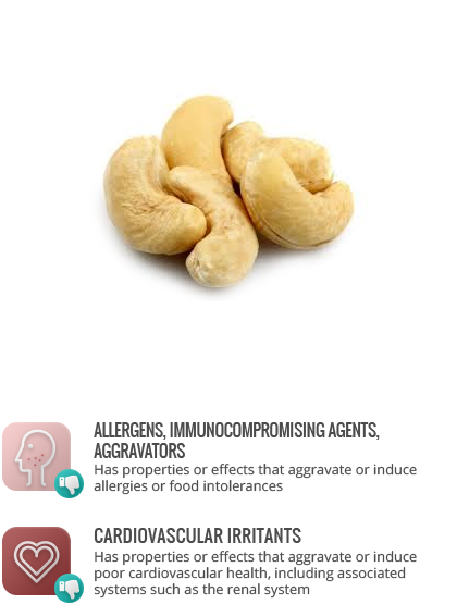 Cashew Nuts - Cashew (420x555), Png Download