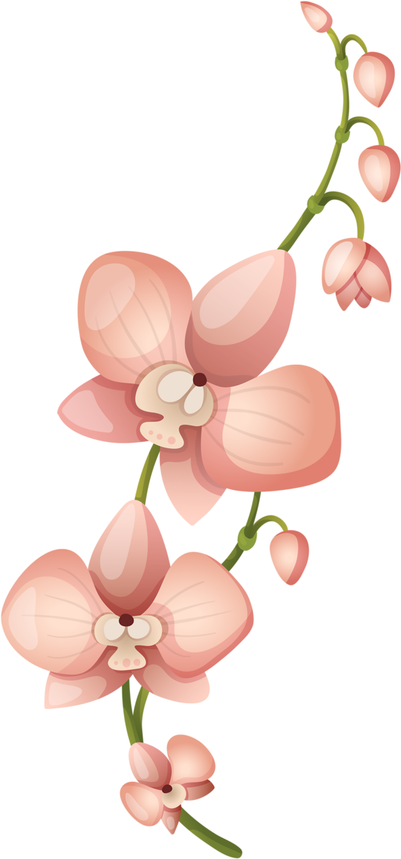 Фото, Автор Soloveika На Яндекс - Flores Sin Png (690x1280), Png Download