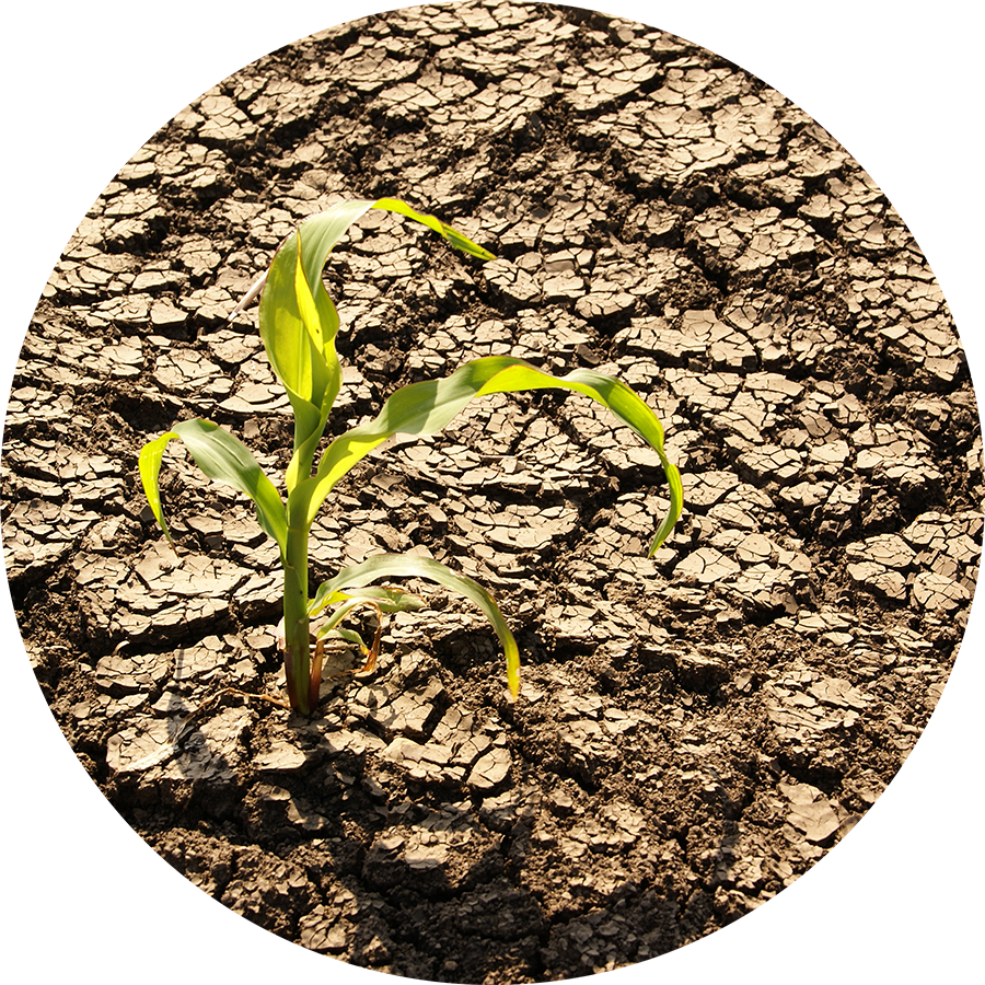 From Implementing Basic Water Use Best Practices To - Effects Of A Monsoon (900x900), Png Download