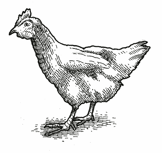 Leave The Farm To Table Restaurant, The Gourmet Grocer, - Chicken Chalk Drawing Png (550x518), Png Download