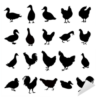 Duck Chicken Silhouettes Sticker Pixers We Live - Chicken (400x400), Png Download