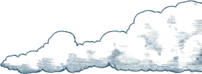 Chicken (694x262), Png Download