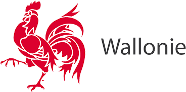 Logo Wallonie (400x300), Png Download