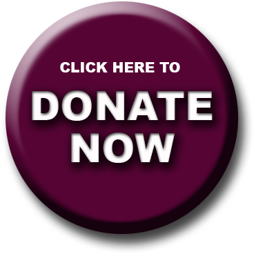 Arizona Basketball Academy Camp - Ionic Animation (390x400), Png Download