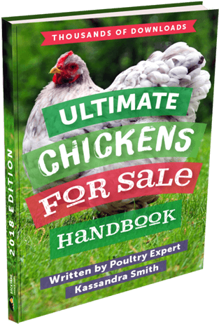 Download Ebook - Wildlife (350x490), Png Download