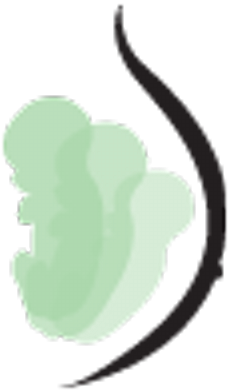 Fetal Growth Chart - Illustration (400x400), Png Download