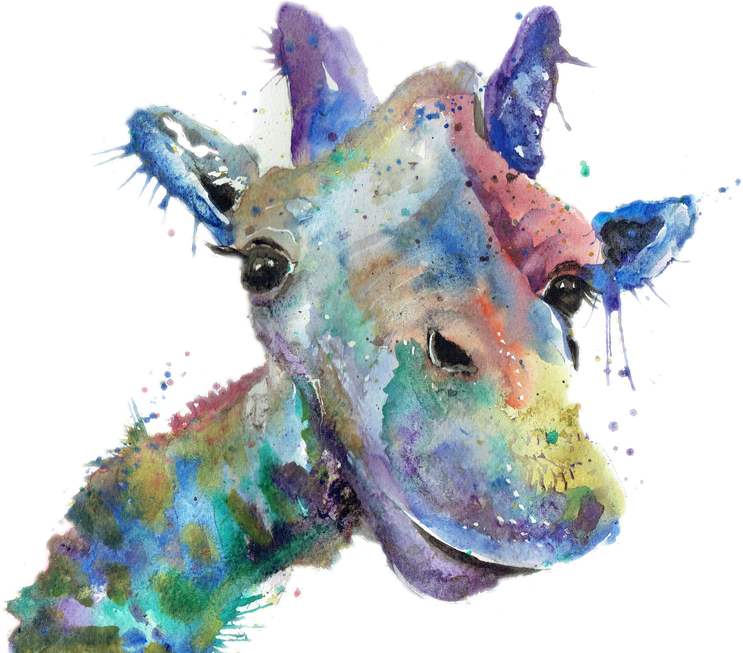 Jamie T Illustrator (743x653), Png Download