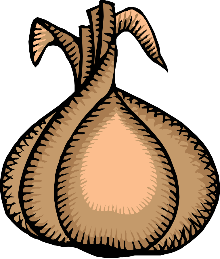 How To Set Use Onion Svg Vector (510x599), Png Download