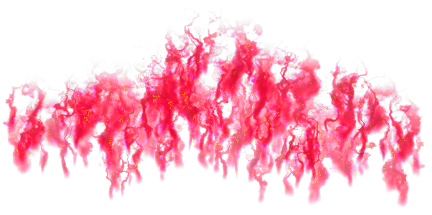 06 Feb 2009 - Portable Network Graphics (569x277), Png Download