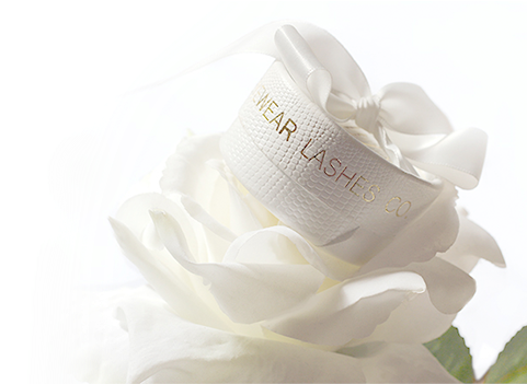 Data/pav Layers Slider/world Class/lashes - Eyelash Extensions (567x350), Png Download