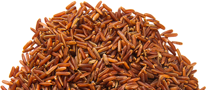 Clipart Library Library Png Transparent Images Pluspng - Brown Rice Transparent Png (700x300), Png Download