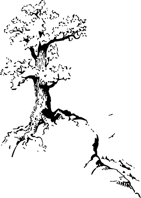 Black, Top, Outline, Silhouette, Tree, Roots, White - Tree On Hill Drawing (456x640), Png Download