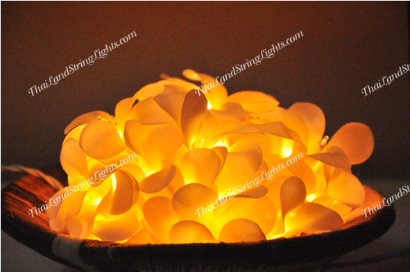 Yellow (590x590), Png Download