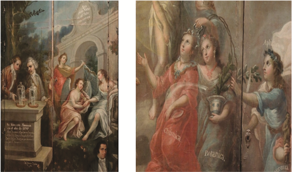 Miguel Jerónimo De Zendejas - Miguel Jeronimo De Zendejas (902x354), Png Download