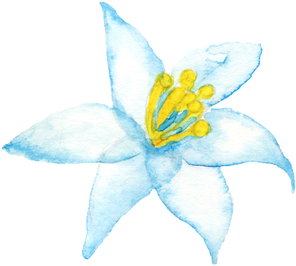 Yellow Branch Corazon Cartoon Png Transparente - Portable Network Graphics (1024x935), Png Download