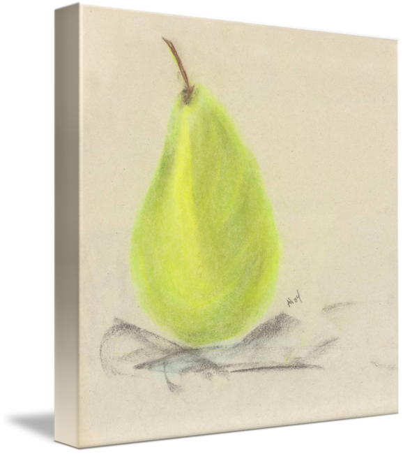 Still Life Photography Pear Drawing - Sketch (578x650), Png Download