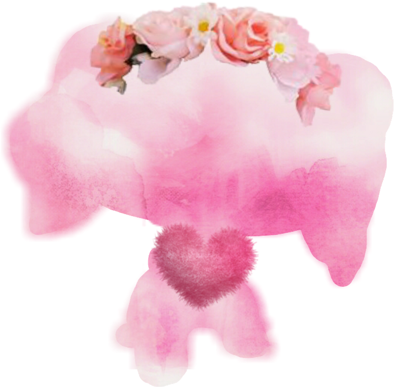 Sheep Png (1024x1024), Png Download