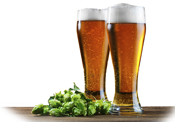 Two Beer Glasses And Hops Sitting On A Wooden Surface - Beer (600x443), Png Download