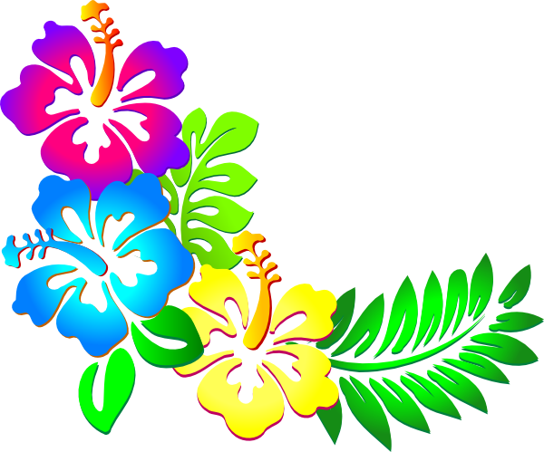 Flower Border Png - Hibiscus Flower Clipart (600x499), Png Download