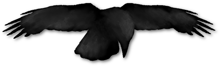 Raven Logo Png - Raven's Corner (800x230), Png Download