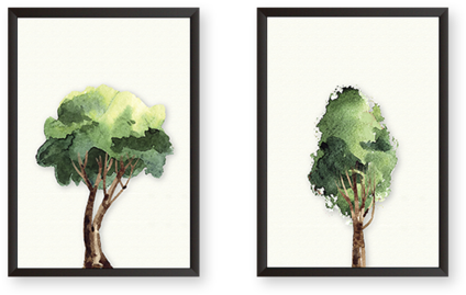 Tree (480x480), Png Download