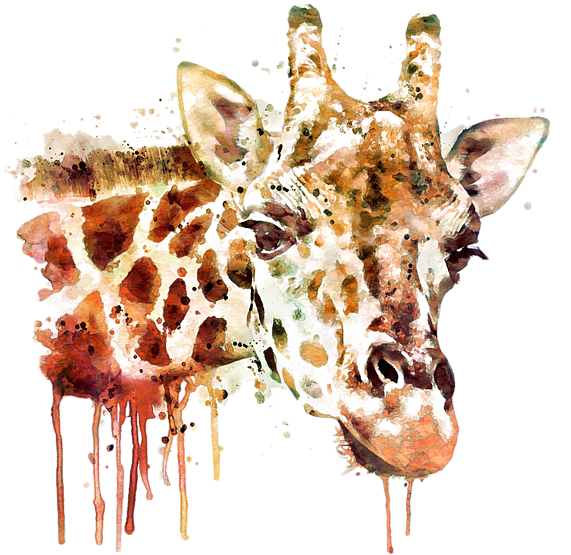Bleed Area May Not Be Visible - Giraffe Art (600x600), Png Download