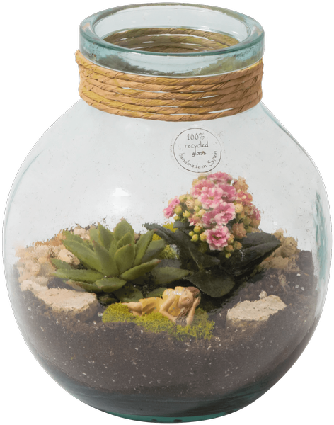 Succulent Terrarium - Flowerpot (500x611), Png Download
