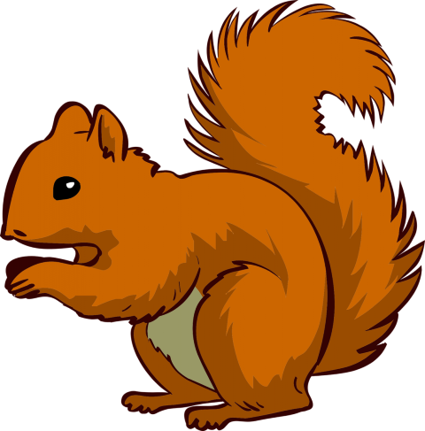 Clipart Squirrel - Squirrel Clipart Png (480x487), Png Download