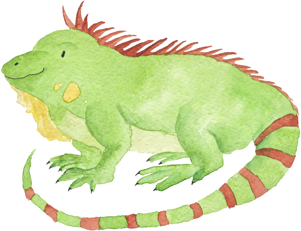 Watercolor Hand Drawn Animal Iguana Illustration (1024x1024), Png Download