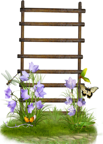 Ladder - Stair Garden Transparent (359x500), Png Download
